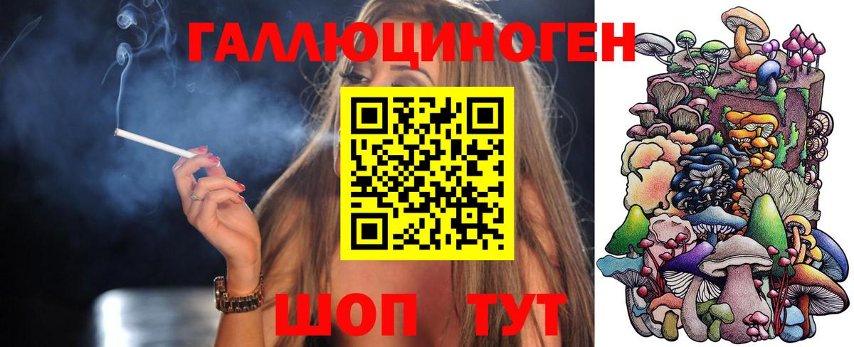 Елец  Галлюциногенные грибы Psilocybine cubensis  Вход с VPN 